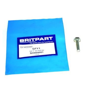 SET SCREW (OEM) SH404081