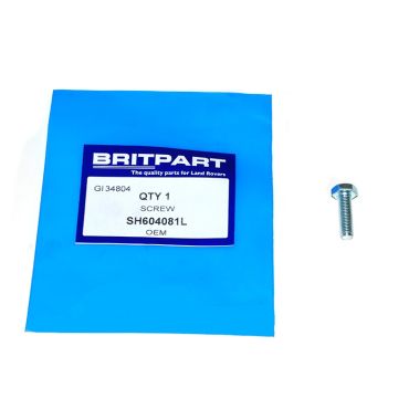 SCREW (OEM) BR 621 SH604081L