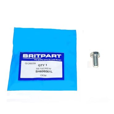SETSCREW (OEM) SH606061L
