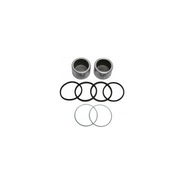 Brake Caliper Piston & Seal Kit 110/130 94-98 (EAC) STC1281