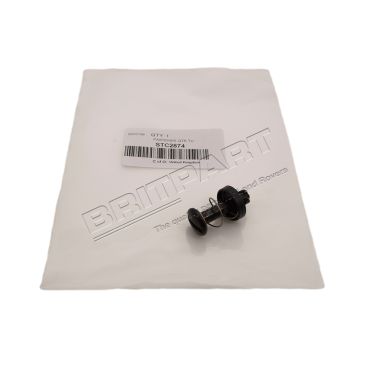 Battery Cover Screw (OEM) STC2874