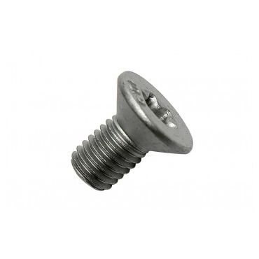 Brake Disc Screw Rear D3 D4 RRS (OEM) SYP100241