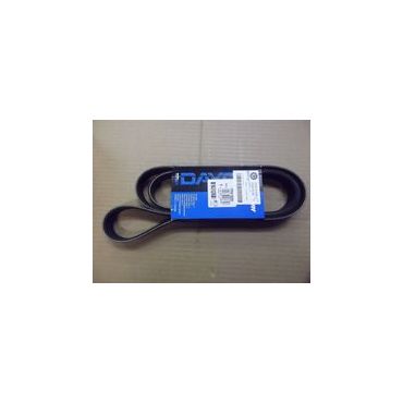 Drive Belt Td5 -ACE & Air- (Dayco) PQS101510G