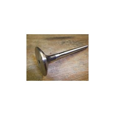 Valve Exhaust 300/200 Tdi (OEM) ERR1156G