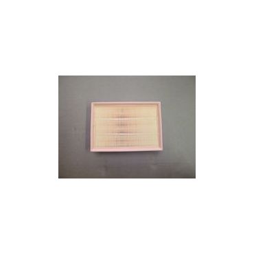 Air Filter FL2 (Hella Hengst) LR005816