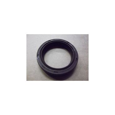 Oil Seal Camshaft Rear -RED- (Britpart OEM) LUC100220LG