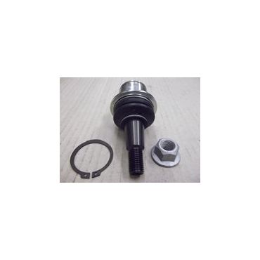Ball Joint Front Lower (Eurospare) RBK500300