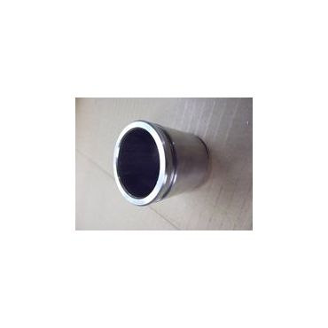 Caliper Piston Rear D2 D3/4 P38 RRS L322 (Britpart) STC1908