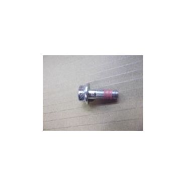 Bolt for Caliper Slides (Britpart) STC1914