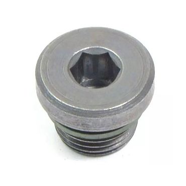 Drain Plug ZF Auto 4.4 V8 M62 BMW (Genuine) UYP000070