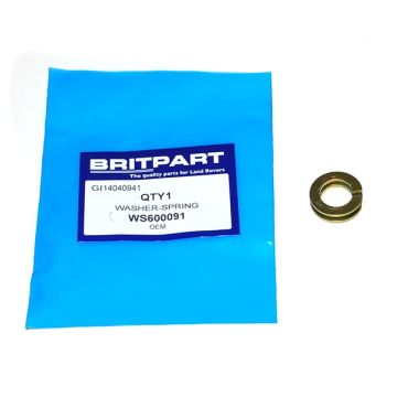 WASHER-SPRING WS600091
